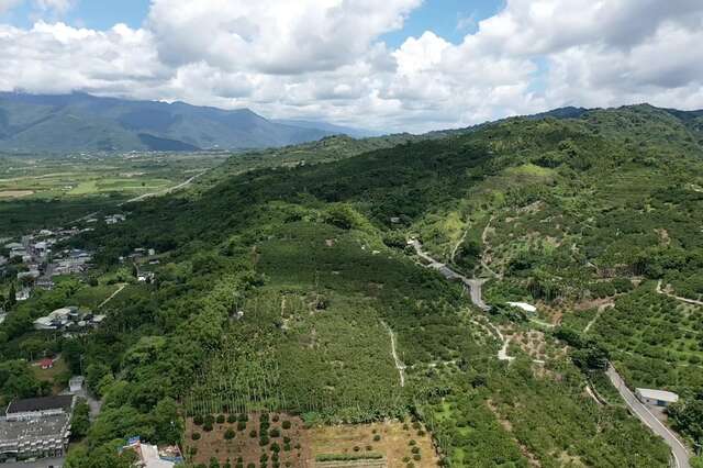 鶴岡文旦觀光果園
