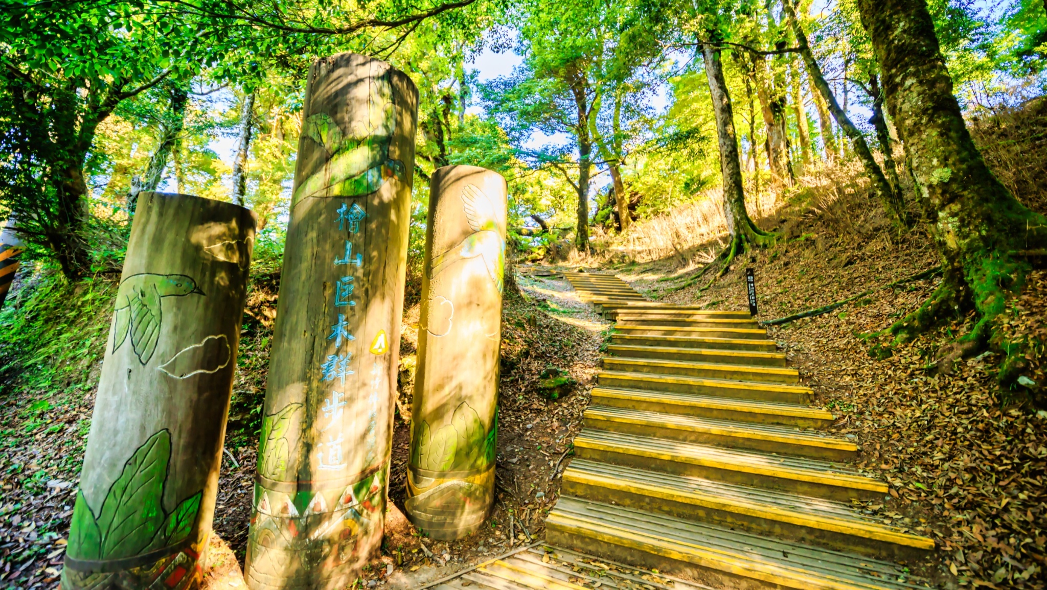 檜山巨木群步道