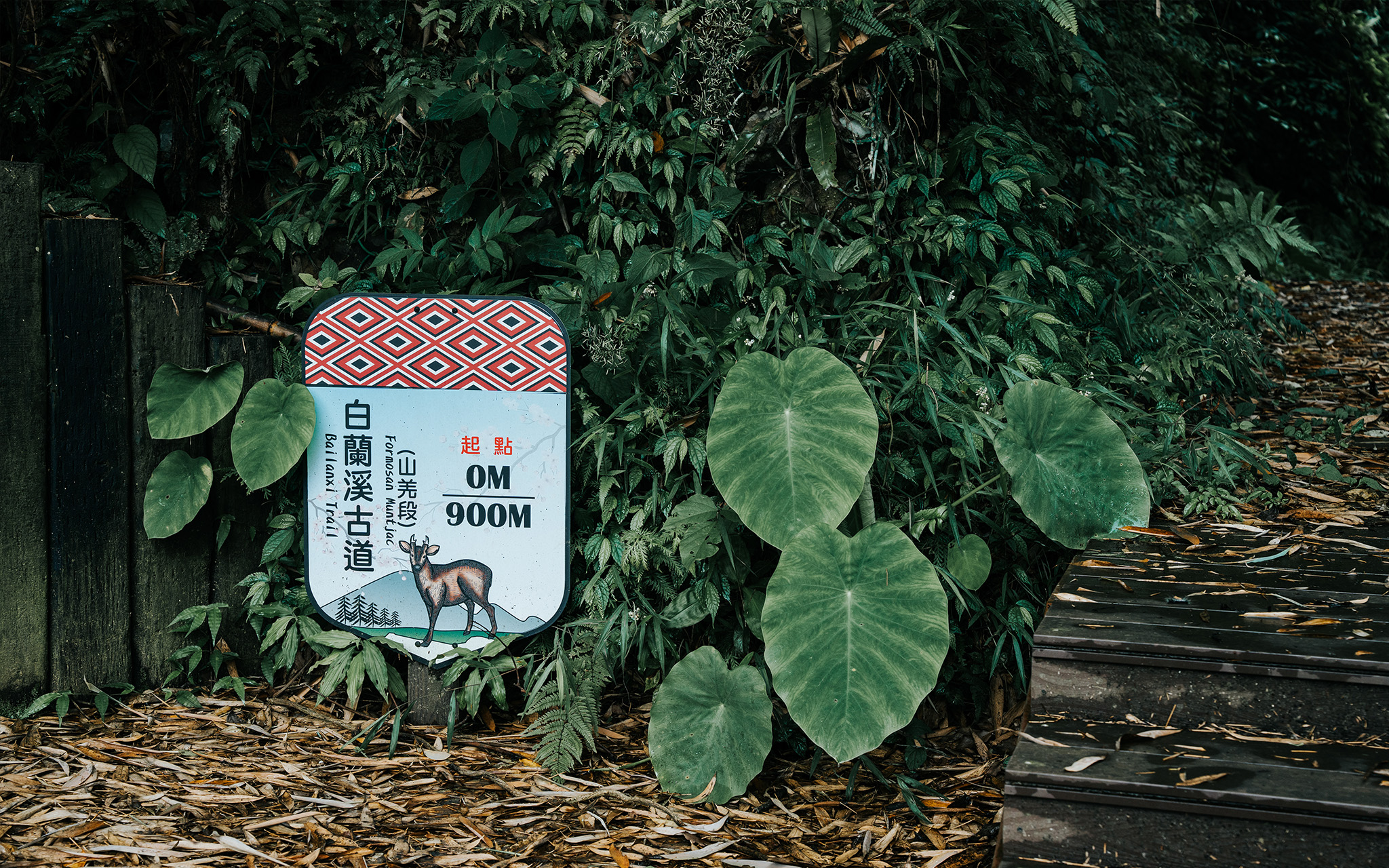 白蘭溪古道