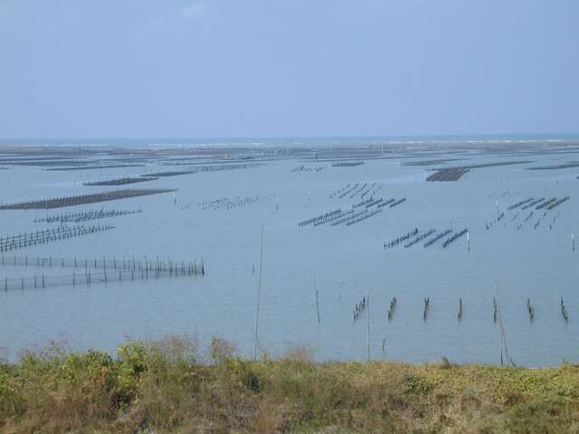 七股潟湖