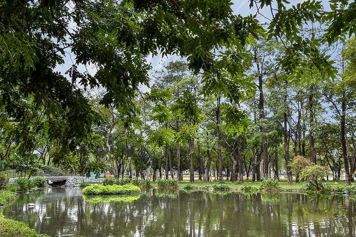大東濕地公園