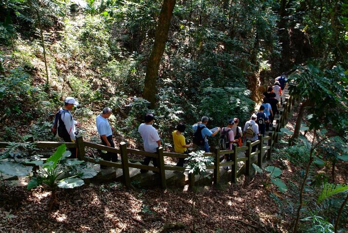 大坑7號登山步道