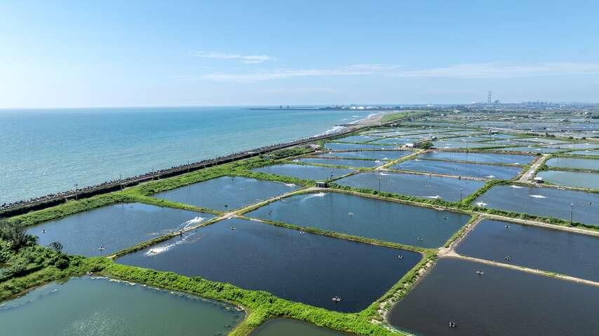 彌陀海濱遊樂區
