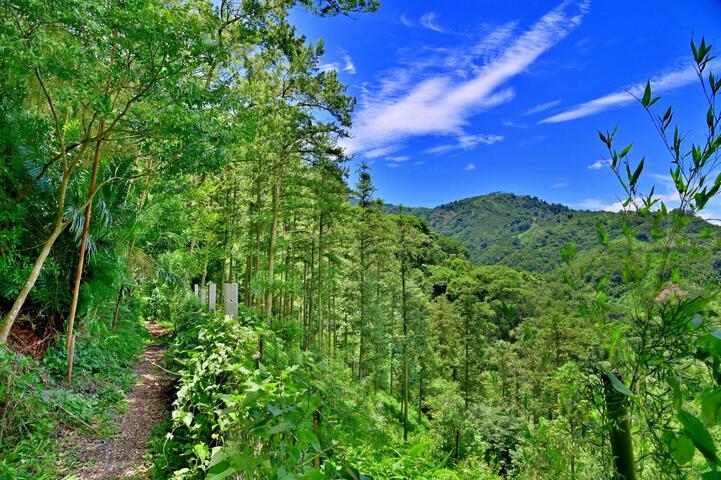 雙崎部落埋伏坪登山步道