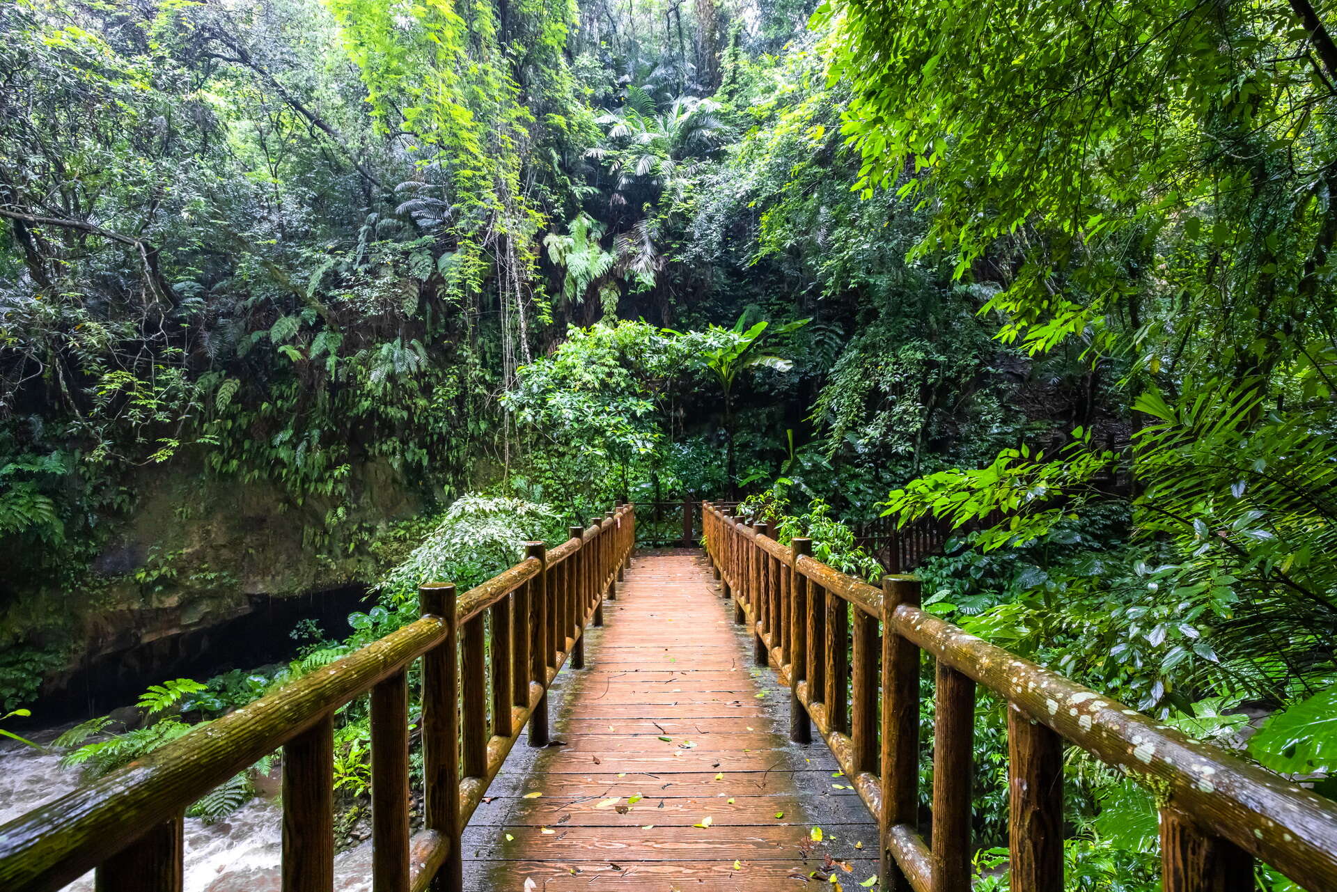 水濂橋步道