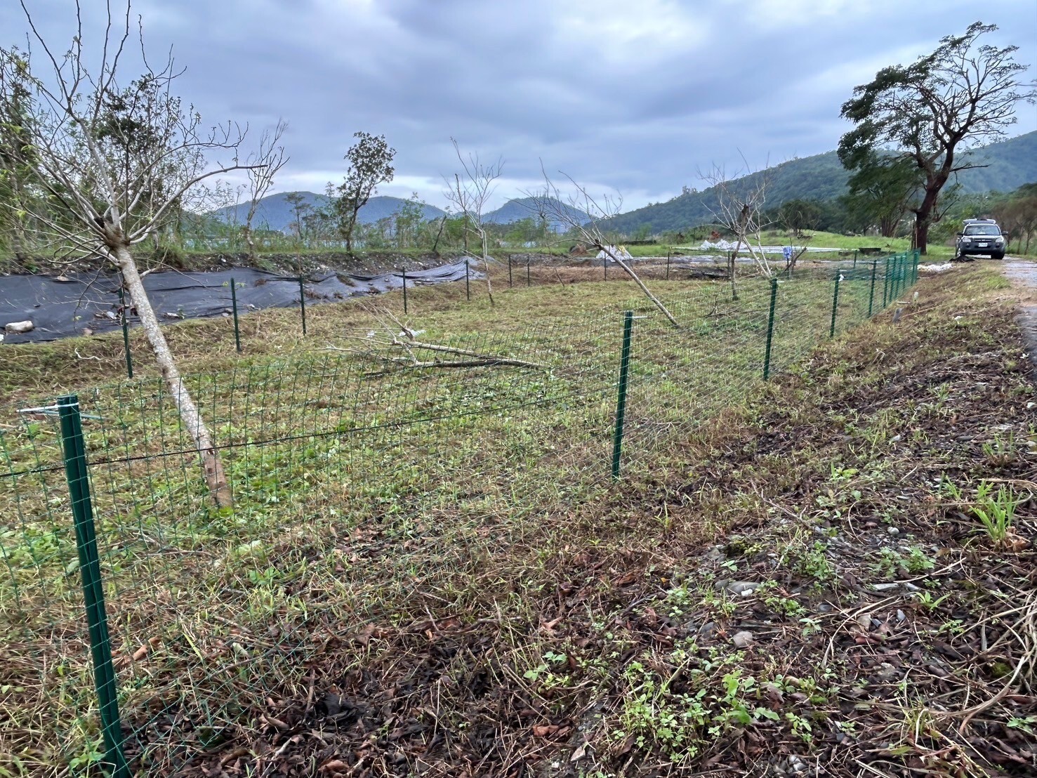 白米木屐村