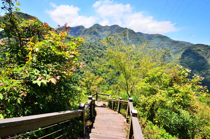 青年嶺步道