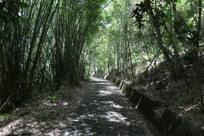虎頭山步道