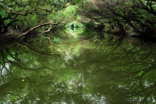 四草綠色隧道