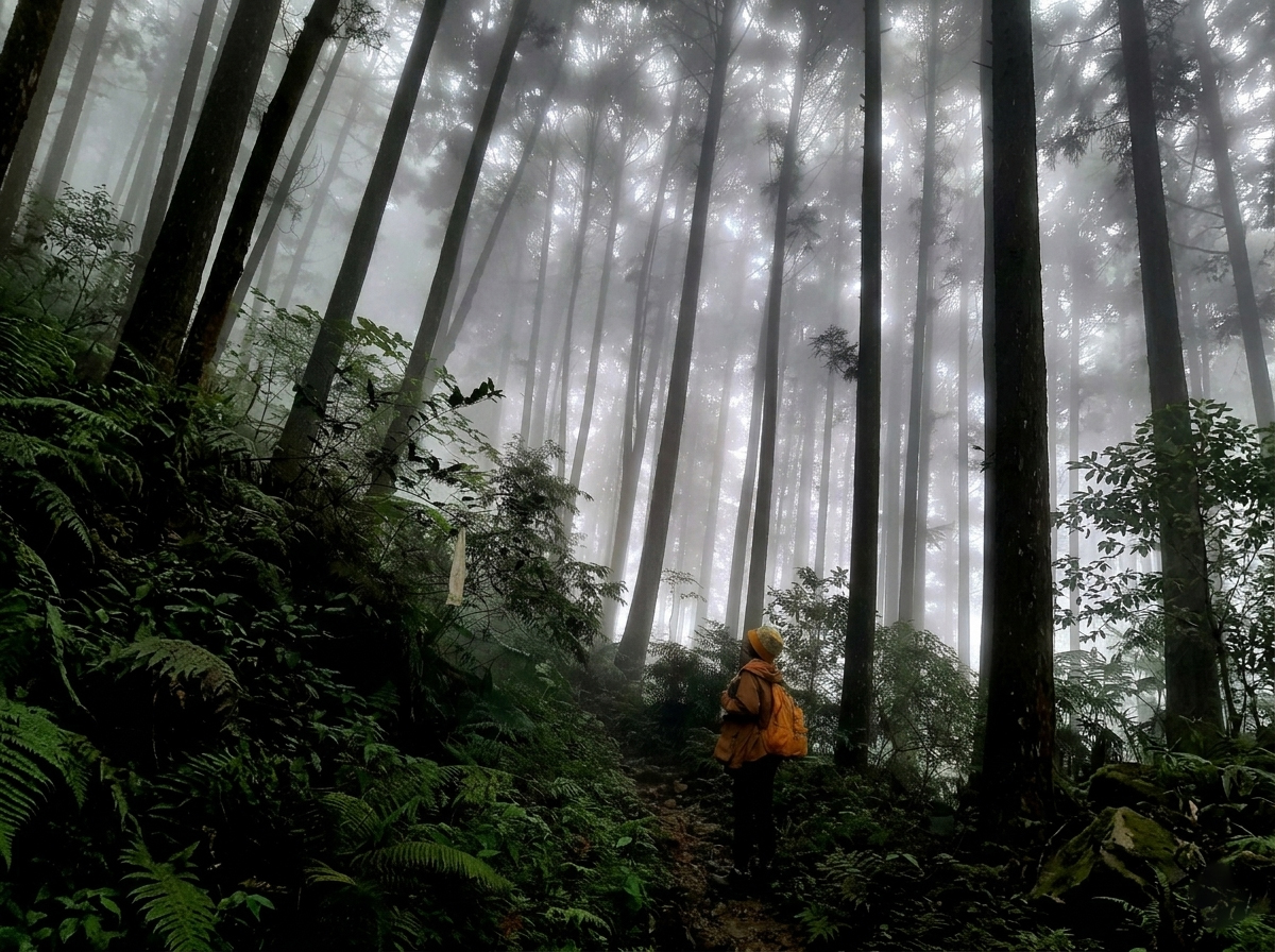 鵝公髻山步道