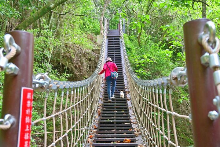 草嶺登山步道及楓仔林登山步道