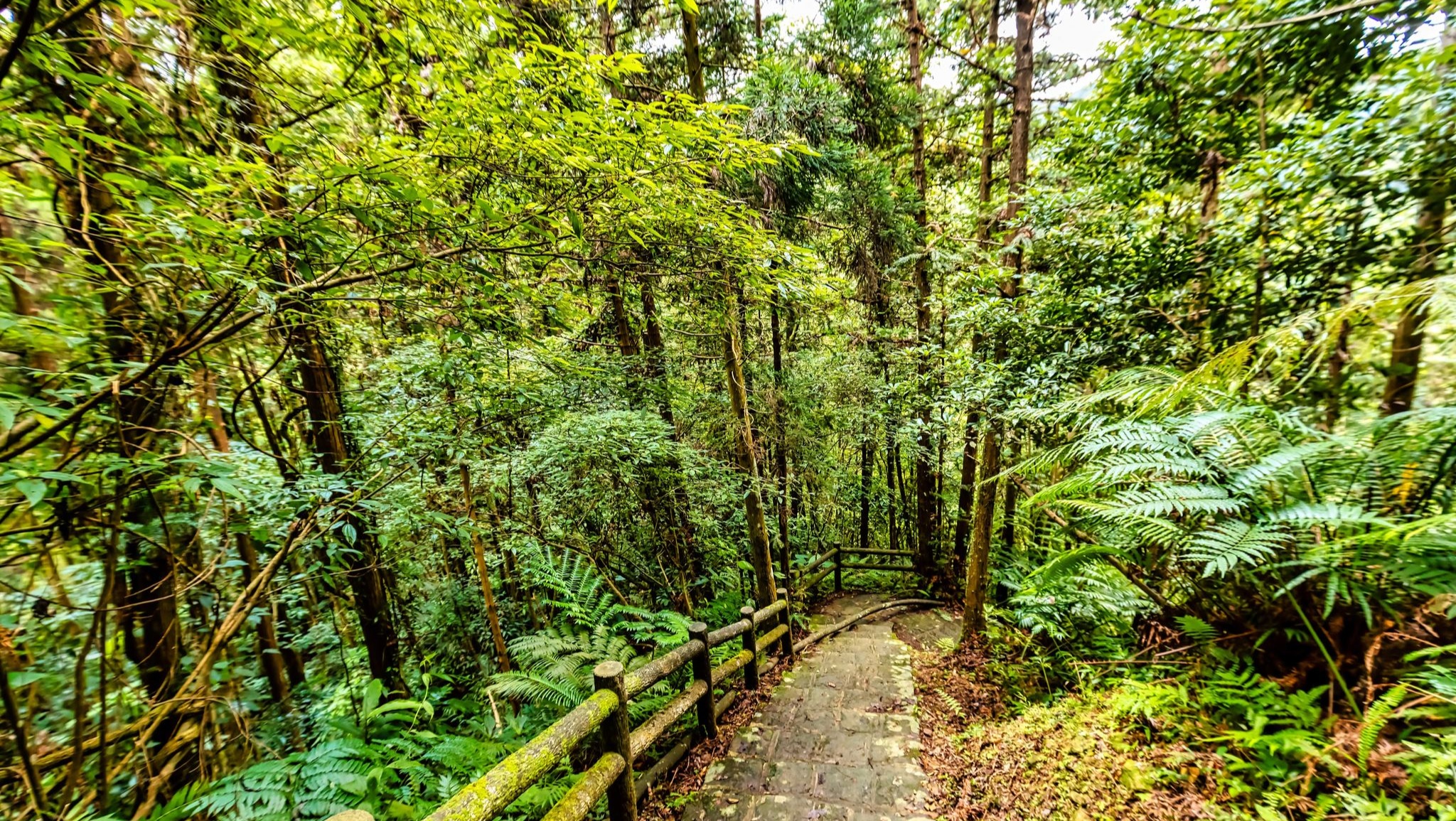 飛鳳山步道
