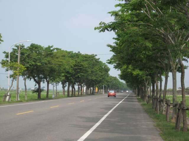 白河後壁印度紫檀廊道