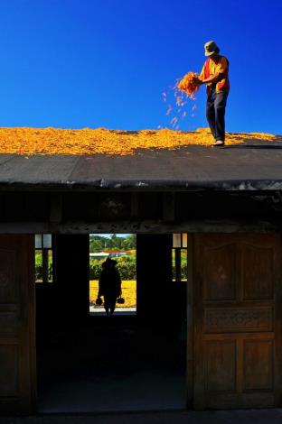赤科山