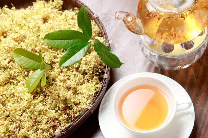 茶鄉桂花農園