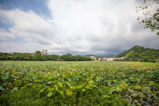東勢林業文化園區
