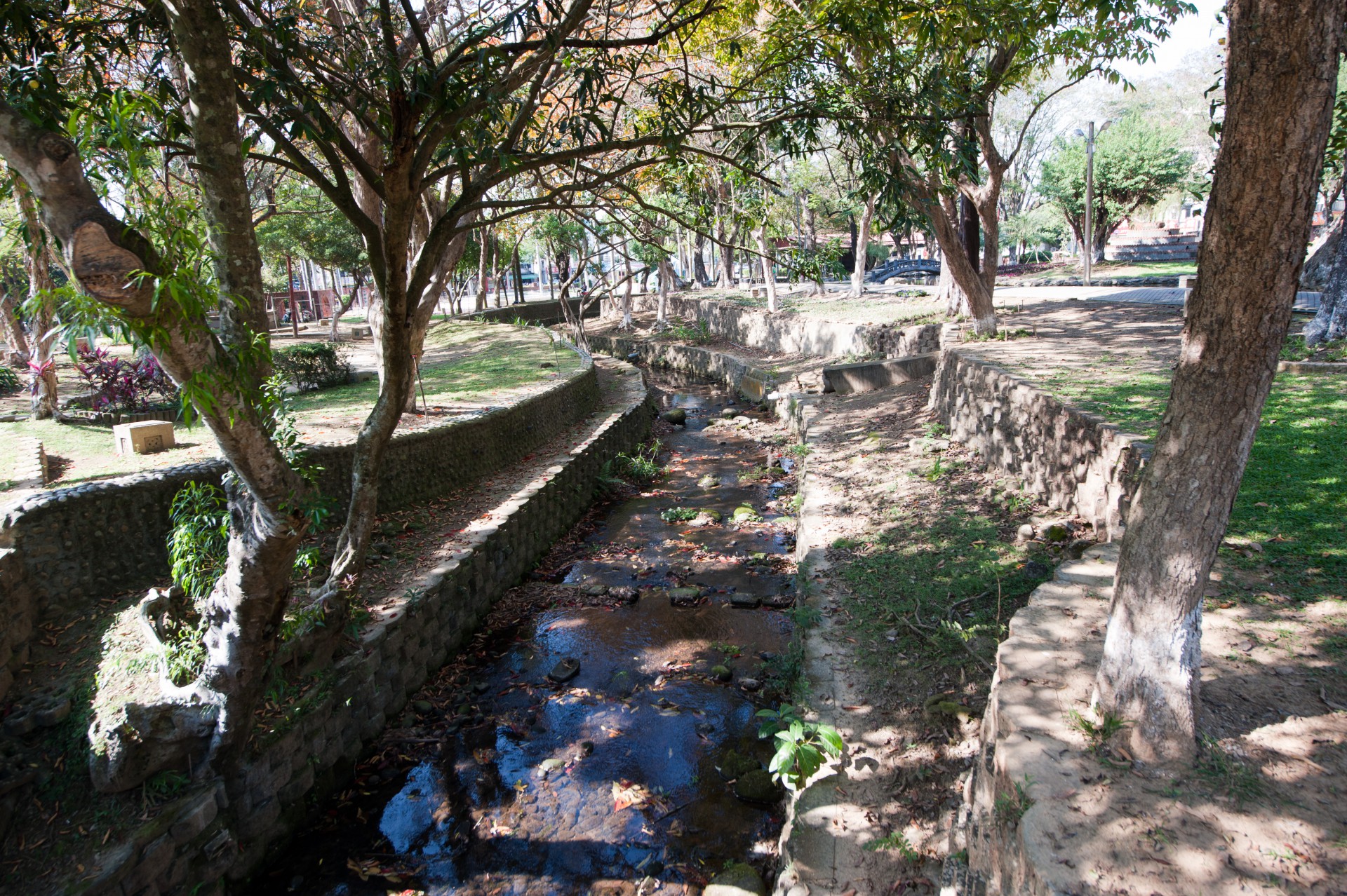 嘉義公園