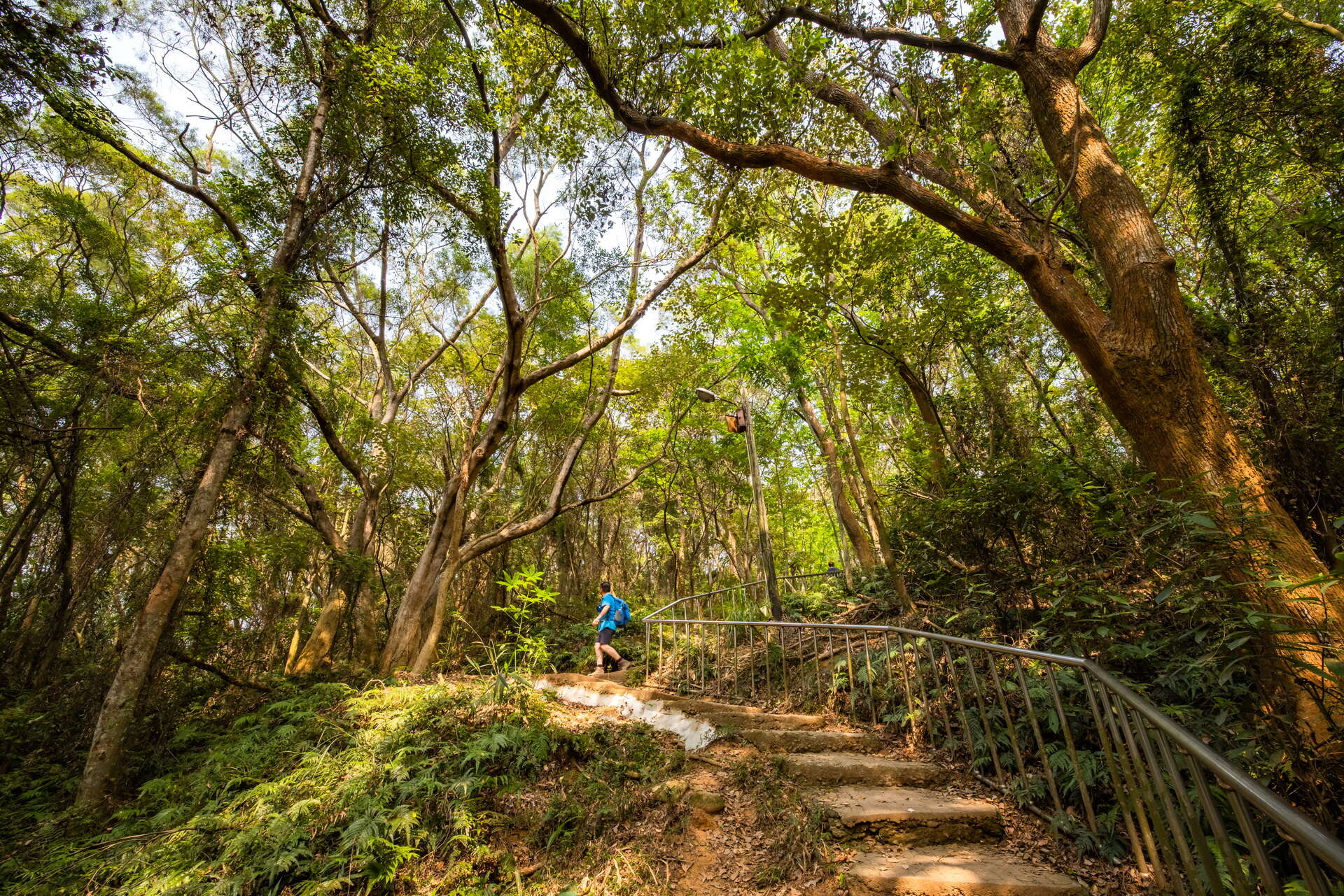 田中森林公園