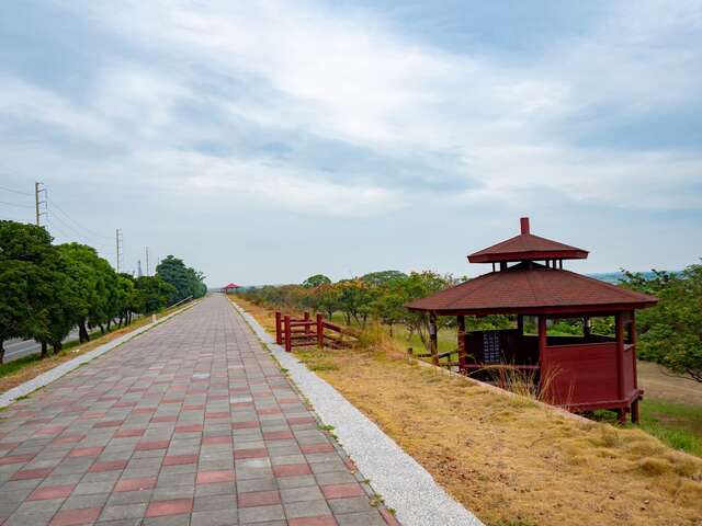 林園紅樹林生態區(紅樹林人工溼地)