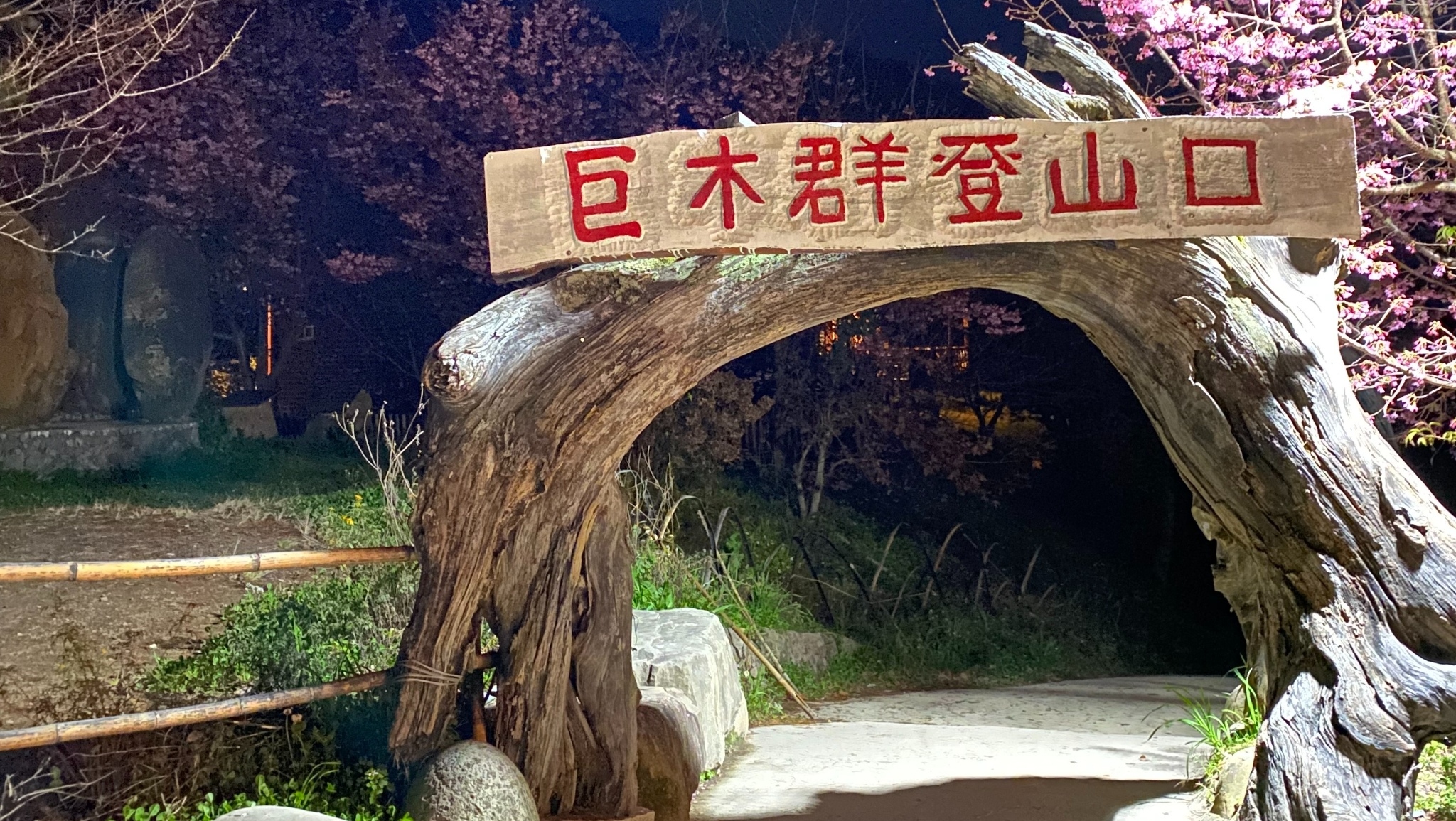 司馬庫斯巨木群步道