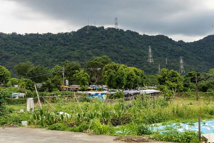 Lipahak三鶯原生態園區