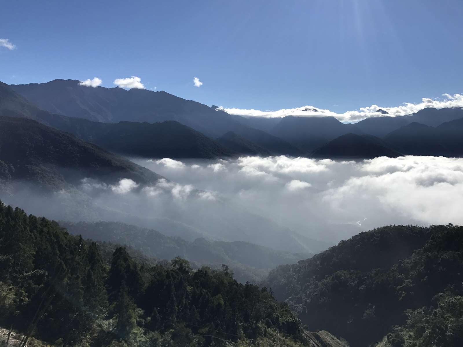 藤枝國家森林遊樂區