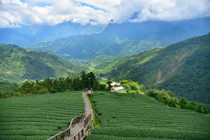 巃仔尾步道