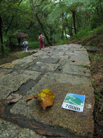 南港山系_麗山橋口親山步道