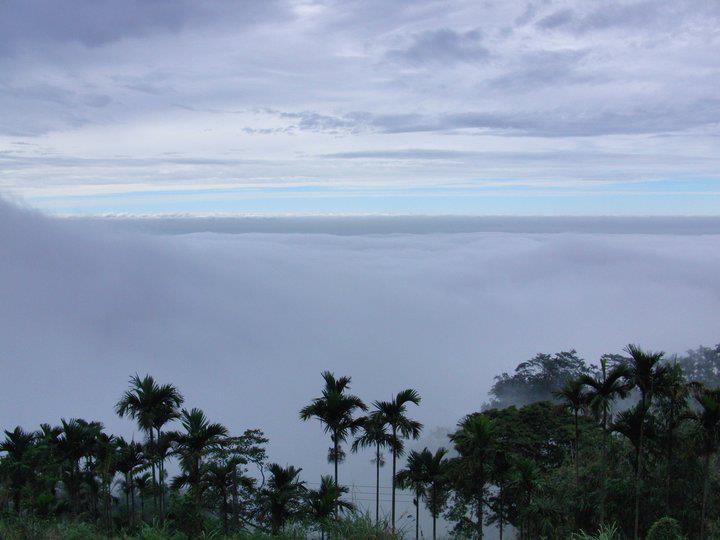 山海觀珈啡莊園
